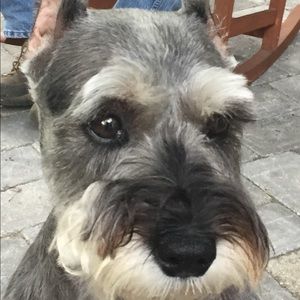 Meet your Posher, Tammy